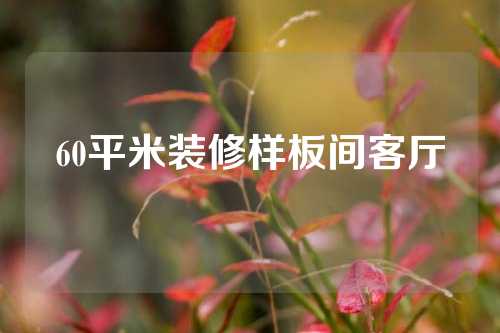 60平米装修样板间客厅