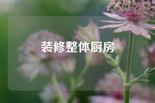 装修整体厨房