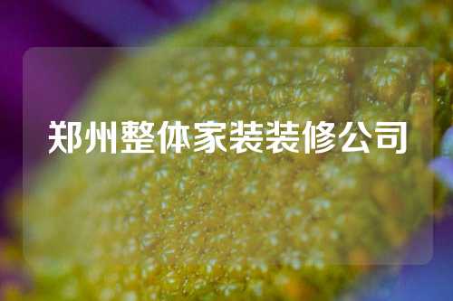 郑州整体家装装修公司