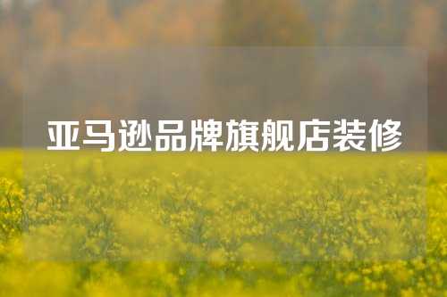 亚马逊品牌旗舰店装修