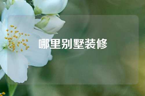 哪里别墅装修