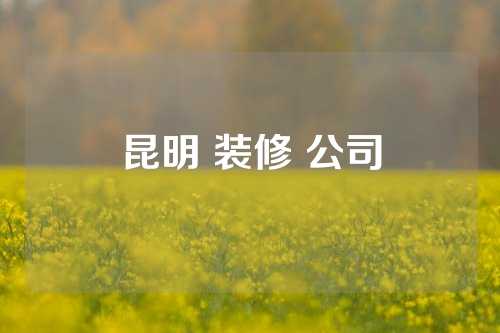昆明 装修 公司