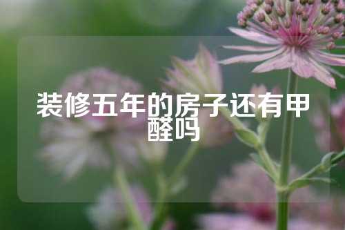 装修五年的房子还有甲醛吗