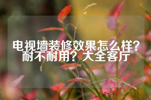 电视墙装修效果怎么样？耐不耐用？大全客厅