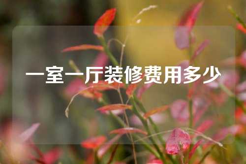 一室一厅装修费用多少