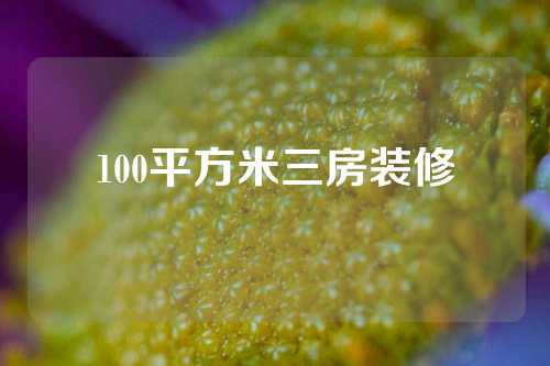 100平方米三房装修