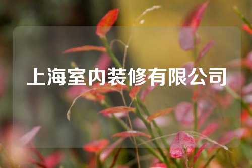 上海室内装修有限公司