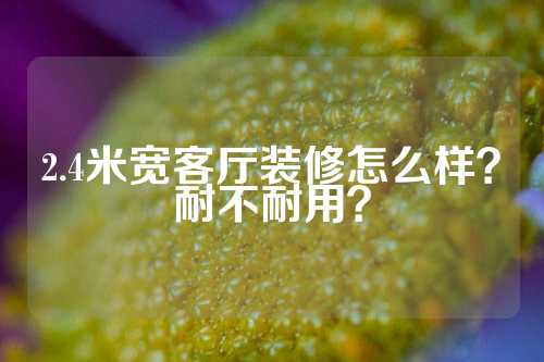 2.4米宽客厅装修怎么样？耐不耐用？