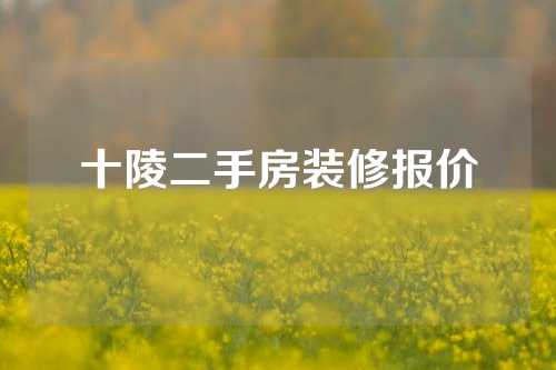 十陵二手房装修报价