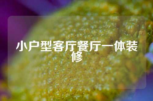 小户型客厅餐厅一体装修