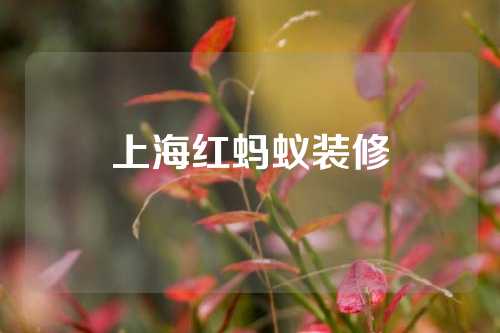 上海红蚂蚁装修
