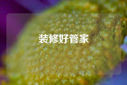 装修好管家