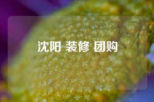 沈阳 装修 团购
