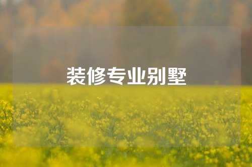 装修专业别墅