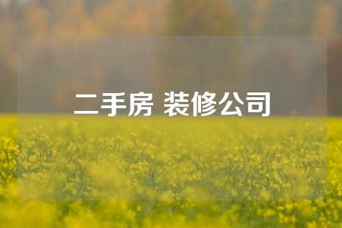 二手房 装修公司