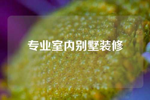 专业室内别墅装修