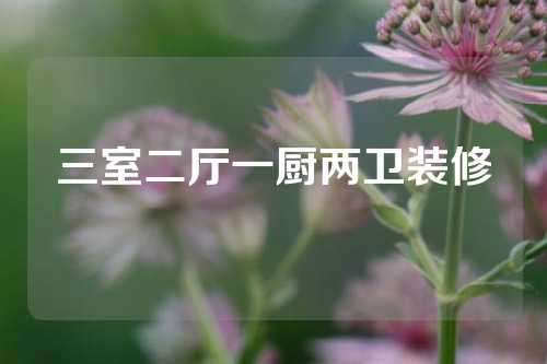 三室二厅一厨两卫装修