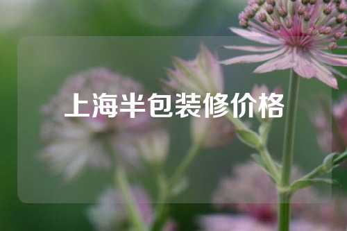 上海半包装修价格