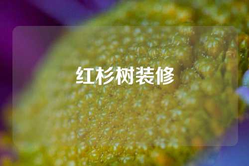 红杉树装修