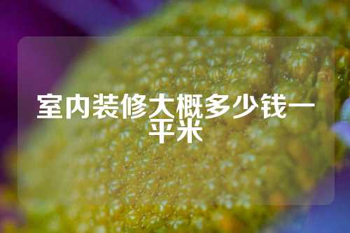 室内装修大概多少钱一平米