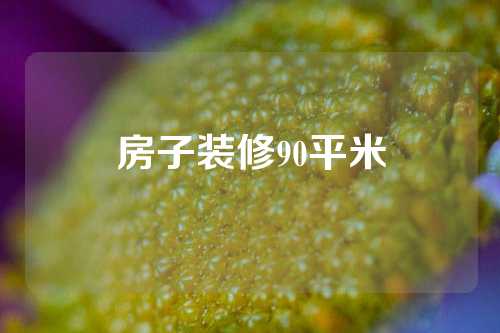 房子装修90平米
