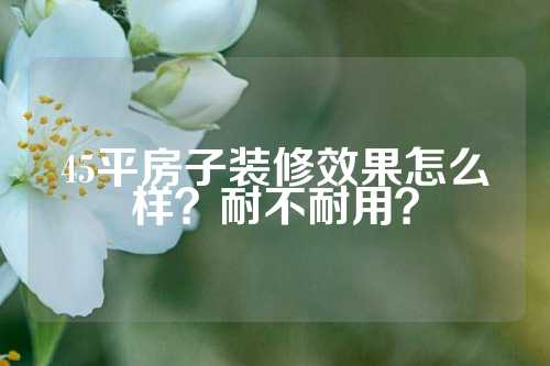 45平房子装修效果怎么样？耐不耐用？