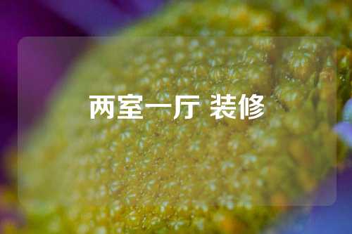 两室一厅 装修