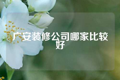 广安装修公司哪家比较好