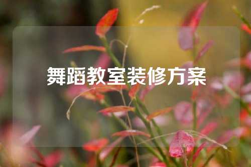 舞蹈教室装修方案