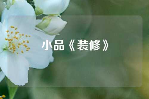 小品《装修》