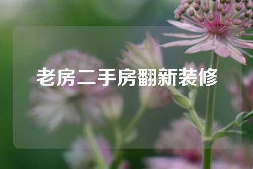 老房二手房翻新装修