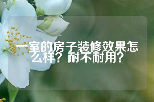 一室的房子装修效果怎么样？耐不耐用？