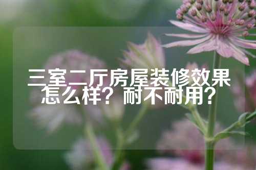 三室二厅房屋装修效果怎么样？耐不耐用？
