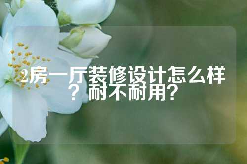 2房一厅装修设计怎么样？耐不耐用？