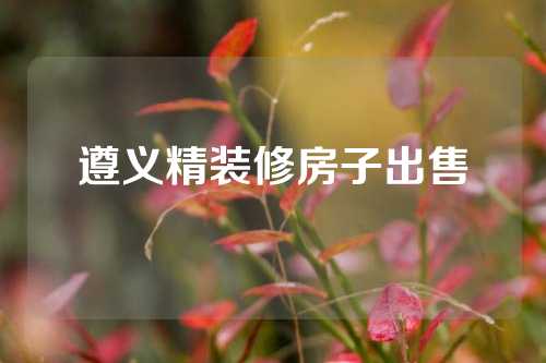 遵义精装修房子出售