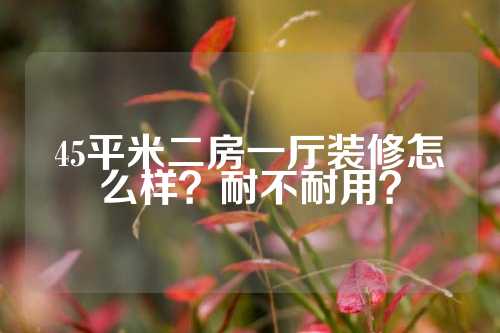 45平米二房一厅装修怎么样？耐不耐用？