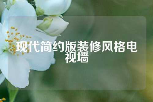 现代简约版装修风格电视墙