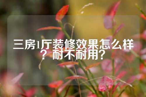 三房1厅装修效果怎么样？耐不耐用？