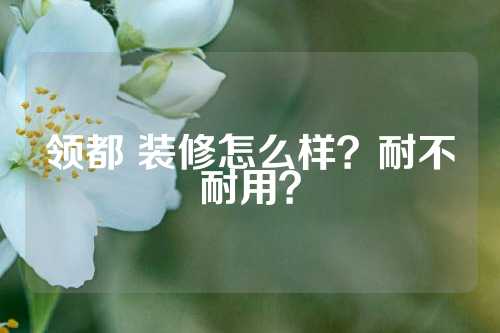 领都 装修怎么样？耐不耐用？