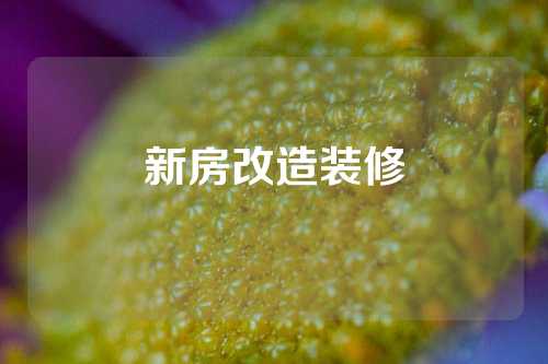 新房改造装修