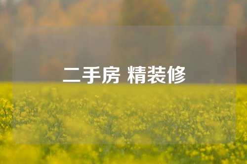 二手房 精装修