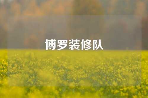 博罗装修队