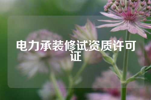 电力承装修试资质许可证