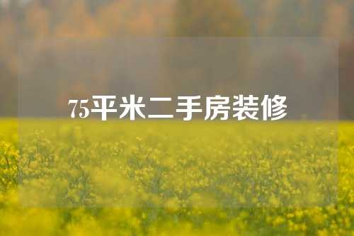 75平米二手房装修