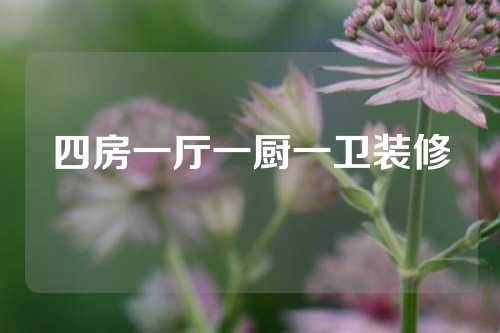 四房一厅一厨一卫装修