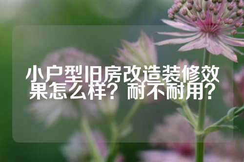 小户型旧房改造装修效果怎么样？耐不耐用？