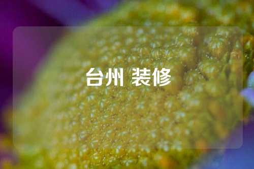 台州 装修