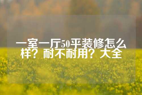 一室一厅50平装修怎么样？耐不耐用？大全