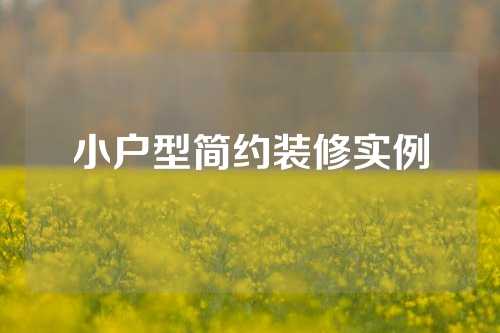 小户型简约装修实例