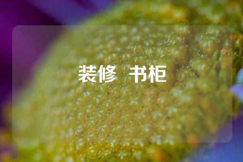 装修  书柜